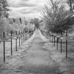Chernobyl Memorial Infra-red