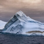 Penguin Colony on Iceberg